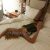 Avrupayakası Otele Gelen Escort Melis - Image 2
