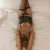 Avrupayakası Otele Gelen Escort Melis - Image 6
